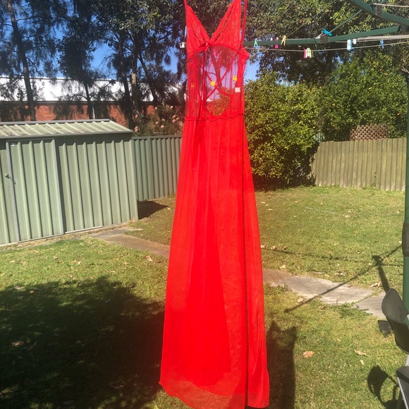 Maxi style net sexy lingerie / nighty - Picture 2 of 6